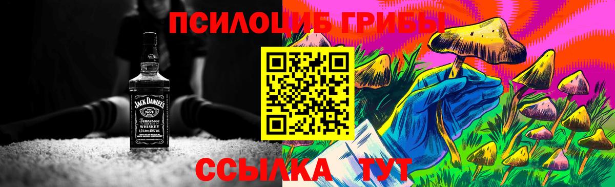 Галлюциногенные грибы GOLDEN TEACHER Междуреченск